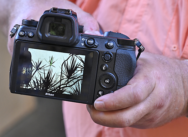 Here Are 10 Full Resolution Photos We Captured with the New